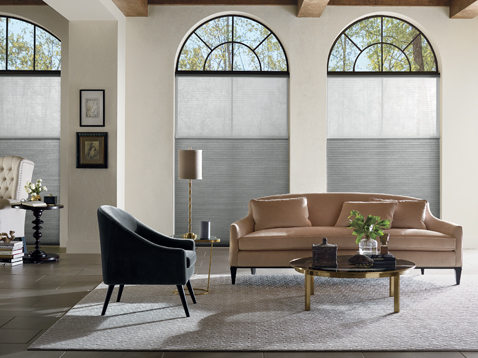 Duette Duolite Cellular Shades