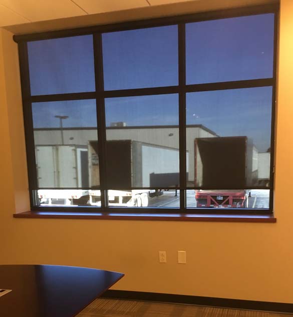Hunter Douglas Screen Shades in Office