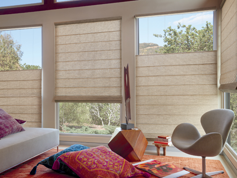 Vignette Roman Shades with Top-down/Bottom-up