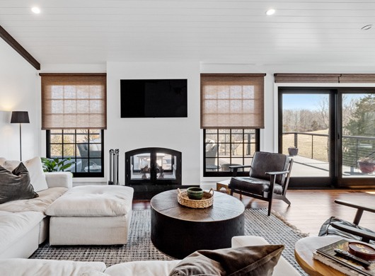 Designer Screen Shades in Living Room